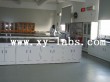 School Lab Cabinets