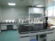 School Lab Table