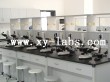 School Laboratory Countertop
