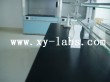 Stainless Steel Laboratory Hoods