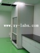 Walk-In Fume Hood