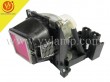 Acer EC.J0302.001 Replacement Projector Lamp