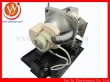 Acer P5290 Replacement Projector Lamp