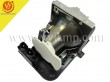 Acer PD100D Replacement Projector Lamp