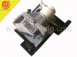 BENQ W600 projector lamp