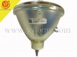 PHILIPS UHP200W1.5P23 Replacement Projector Lamp