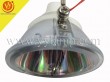 PHOENIX SHP107 Replacement Projector Lamp