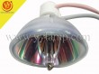 PHOENIX SHP112 Replacement Projector Lamp