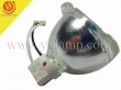 PHOENIX SHP132 Replacement Projector Lamp