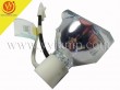 PHOENIX SHP137 Replacement Projector Lamp