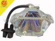 PHOENIX SHP28 Replacement Projector Lamp