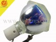PHOENIX SHP86 Replacement Projector Lamp