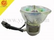 PHOENIX SHP90 Replacement Projector Lamp