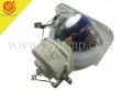 USHIO NSH200MDF1 Replacement Projector Lamp