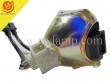 USHIO NSH310 Replacement Projector Lamp