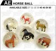 HORSE BALL