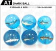 SHARK BALL