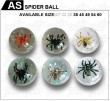 SPIDER BALL