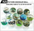 PICTURE DINOSAUR BALL