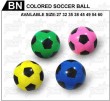 COLOR SOCCER BALL