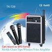 High quality  Karaoke system TK-T29 with USB recor