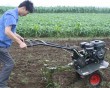 Micro-farming machine