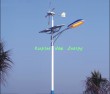 China Solar Street light (LPS)