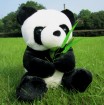 Plush soft panda bear stuffed toys